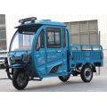 Nuovo triciclo elettrico Energia di alta qualità per carico